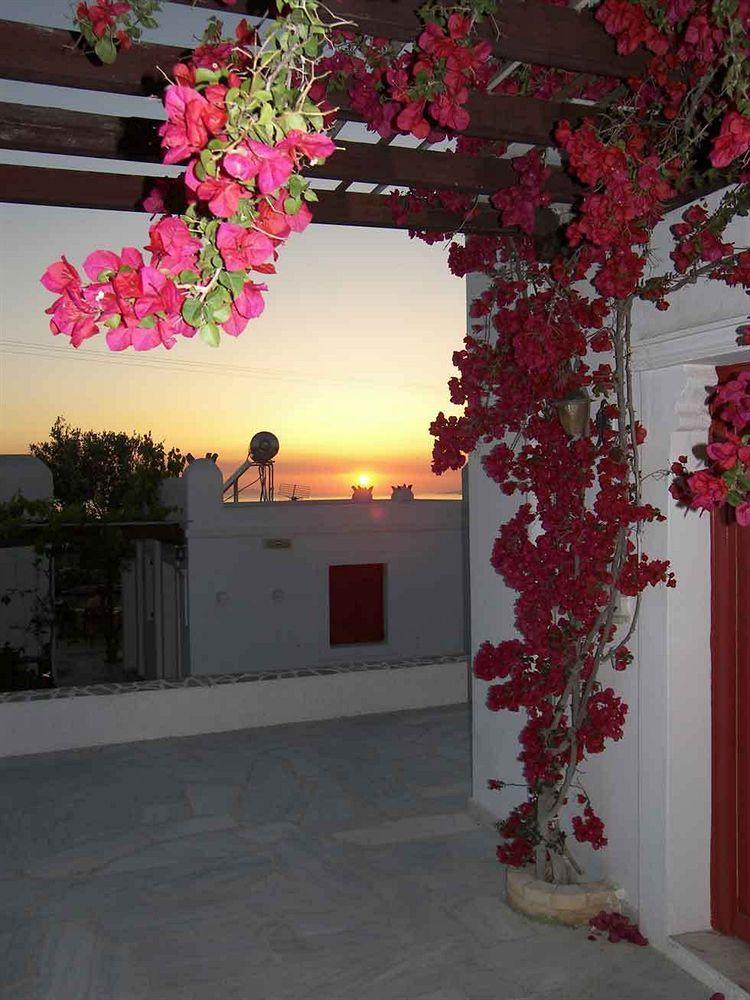 Villa Vasilis Mykonos Town Dış mekan fotoğraf